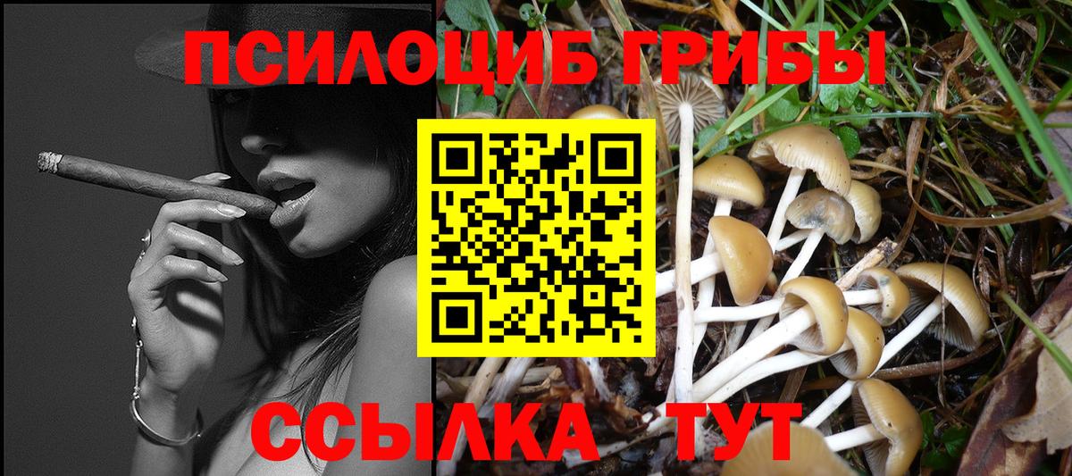 Псилоцибиновые грибы GOLDEN TEACHER  Вход с VPN  Урюпинск 